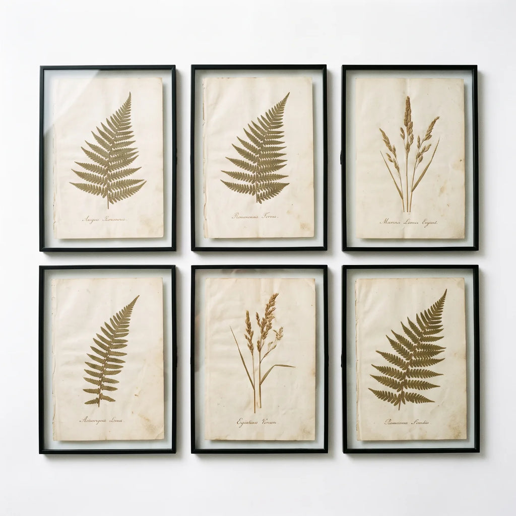 Œuvre Herbier