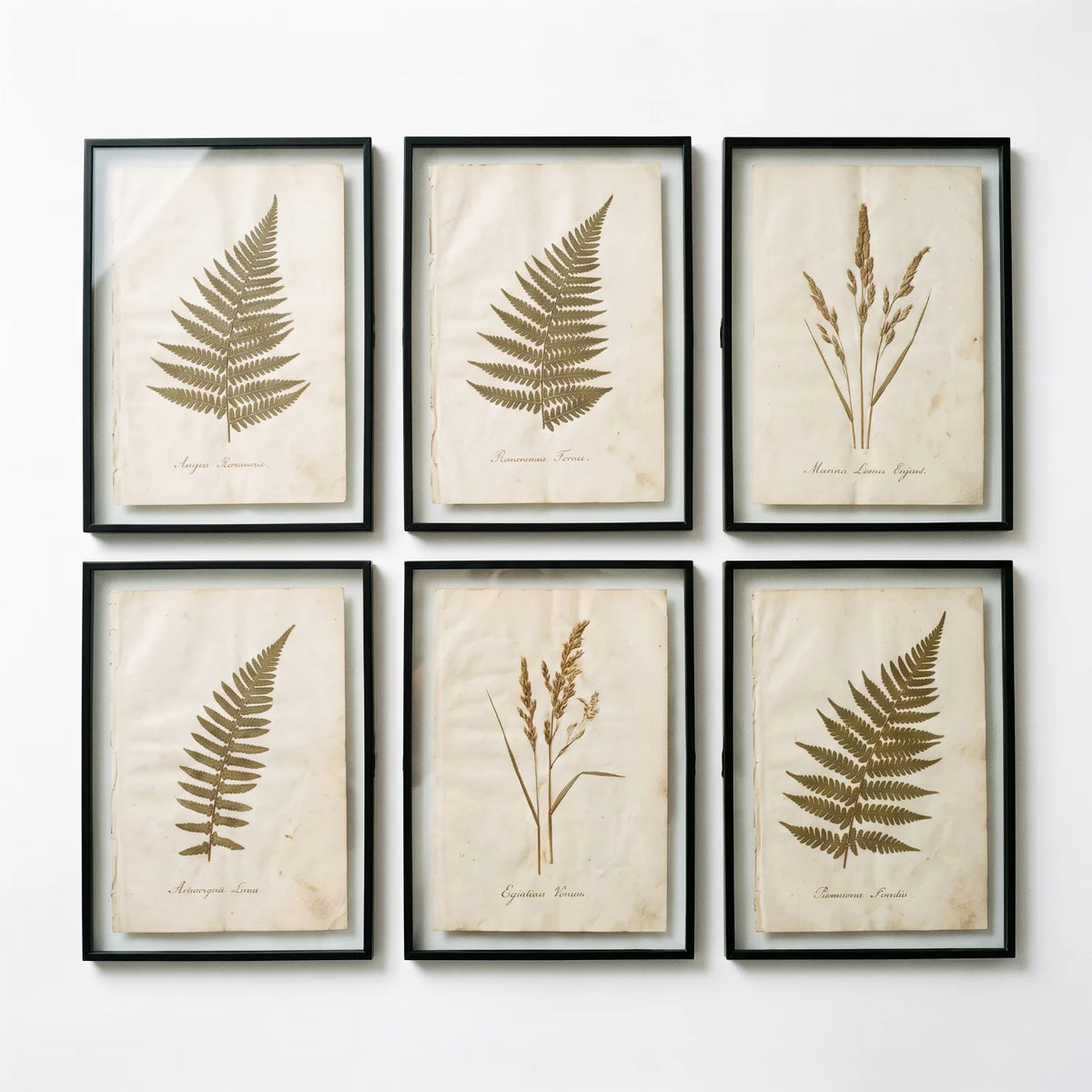 Œuvre Herbier